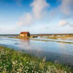 Czy architektura budynku zwiększa straty wody? Analiza wpływu pionów, odległości i układu instalacji